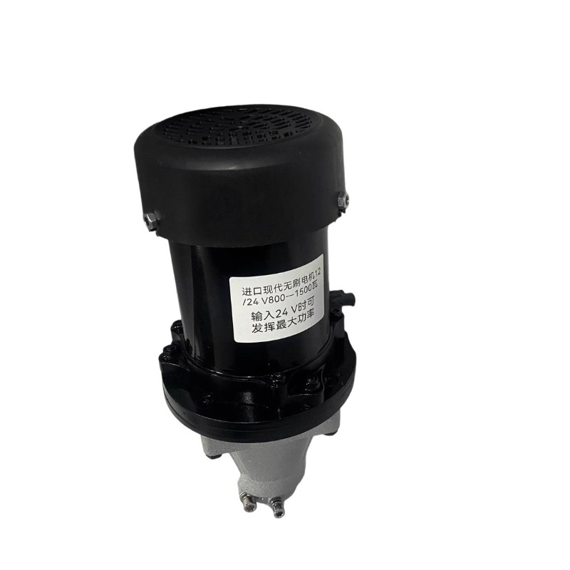 12V-60V 500W-1500W Brushless O - đánh giá và giá Fishing Equipment Gear