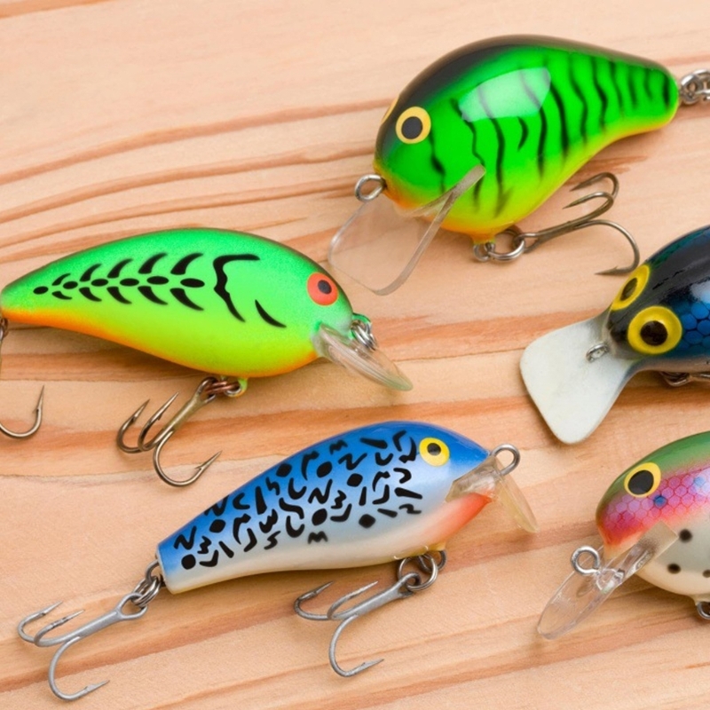 6 mẫu tranh vẽ mồi câu cá để p - đánh giá và giá Fishing Equipment Gear